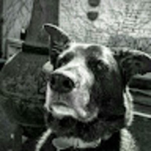 Meet your Posher, Nelly